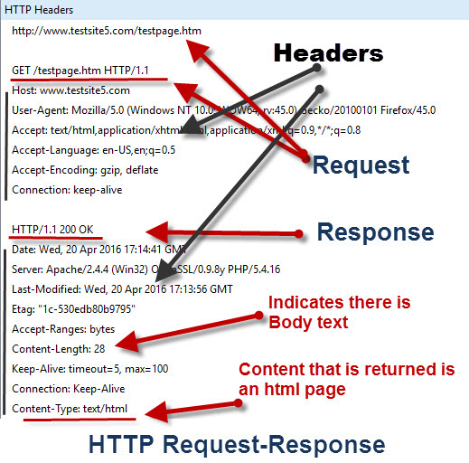 HTTP-Request-Response-example